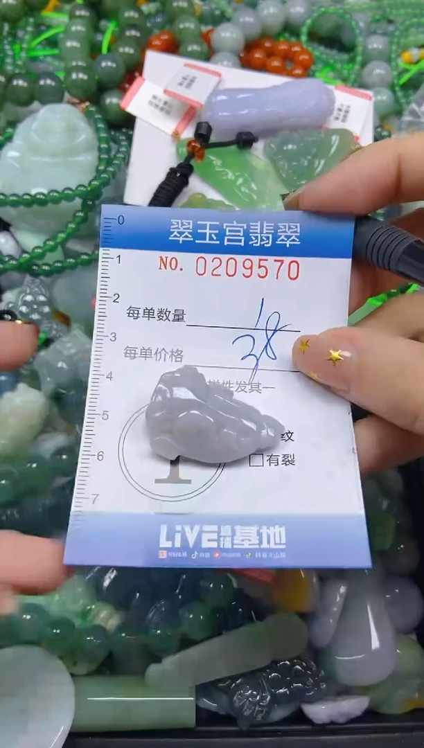颈饰未镶嵌翡翠闪购C0209570