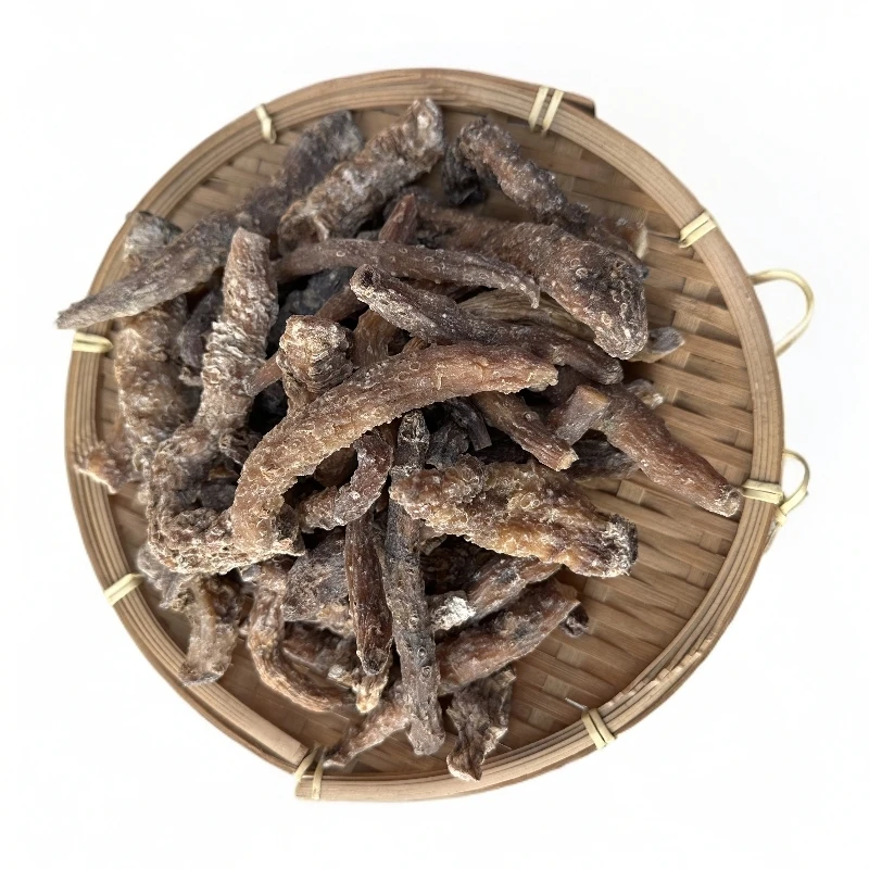 龙尾参【寻味滋补】精选好物