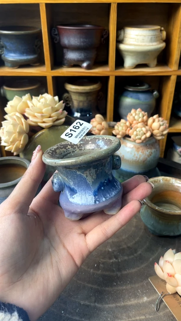 春***春162【多肉花盆多肉盆】