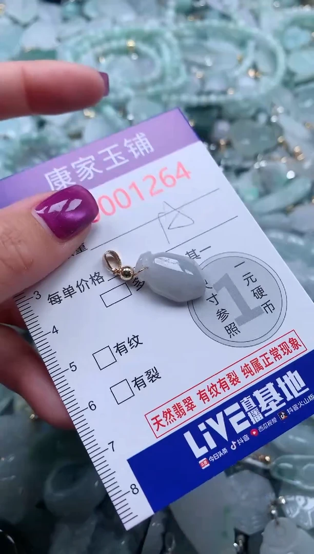 颈饰未镶嵌翡翠1264