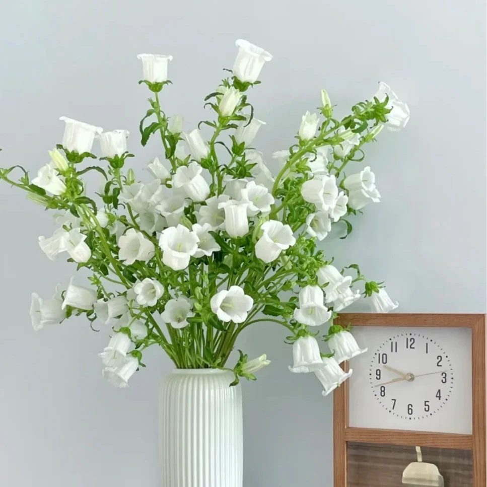 【云季鲜花】风铃花1扎两单升级顺丰冷链包邮+送配草