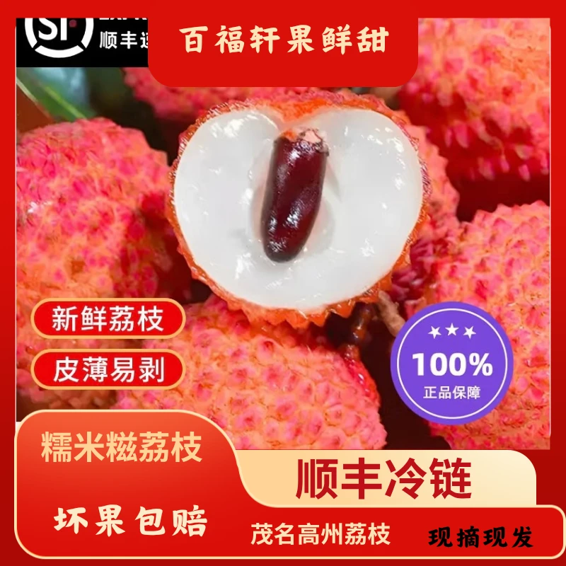 【顺丰冷链包邮】糯米糍荔枝茂名高州老树荔枝新鲜采摘现发原产地