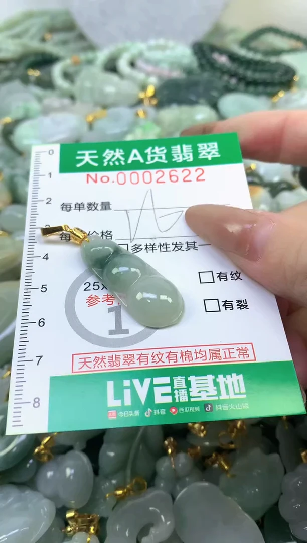 颈饰未镶嵌翡翠天然A货翡翠