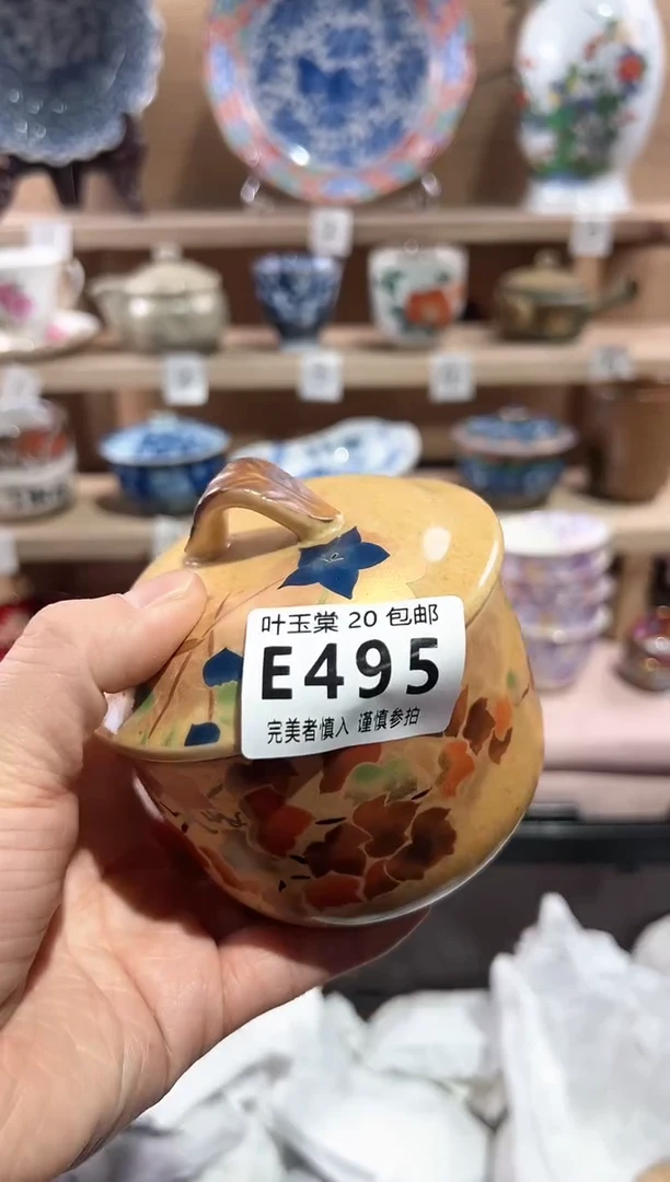 【闪购商品】瓷片当天满20米包邮E495