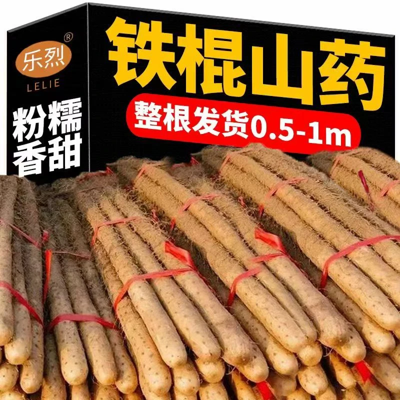 【糯香大果】正宗铁棍山药新鲜粉糯营养健康蔬菜60-70cm大果食补装