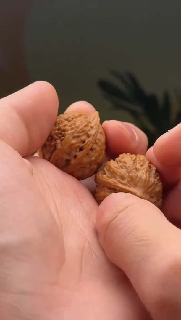 【闪购商品】文玩核桃吊坠小秋子一对（小手捻）