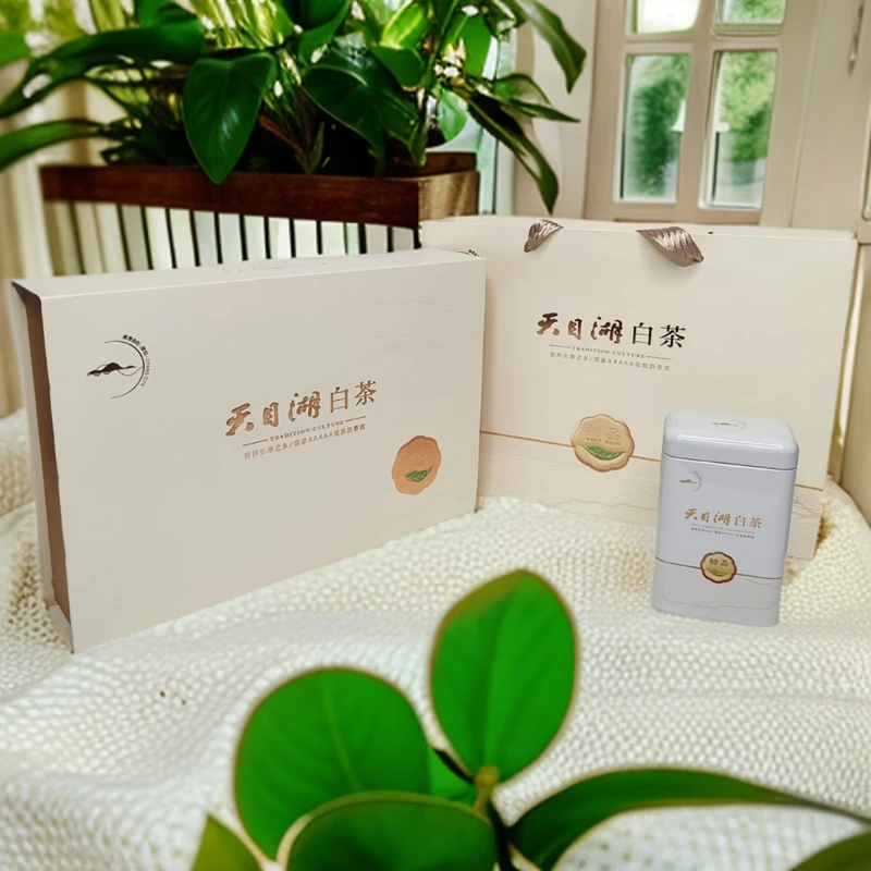 2025店庆23周年专属浮力天目湖白茶