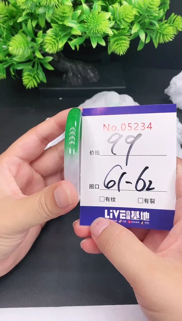 未镶嵌手镯翡翠5234