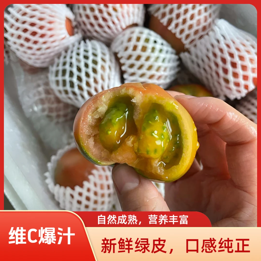 【精品中果】现摘盘锦盐碱地柿子酸甜口西红柿-顺丰包邮