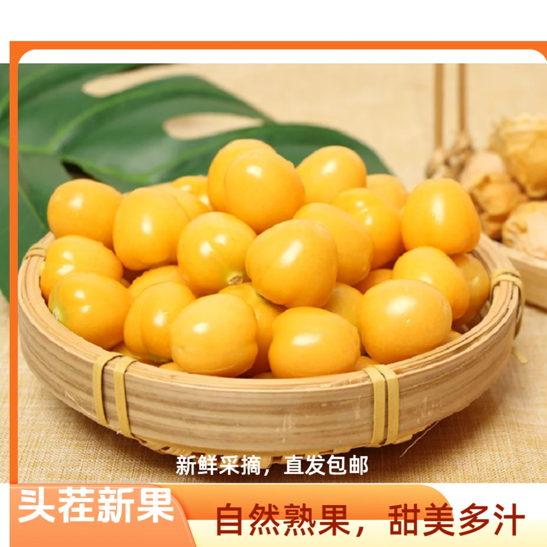 东北姑娘果薄皮香甜2-4g小小果，果子小皮薄更香甜