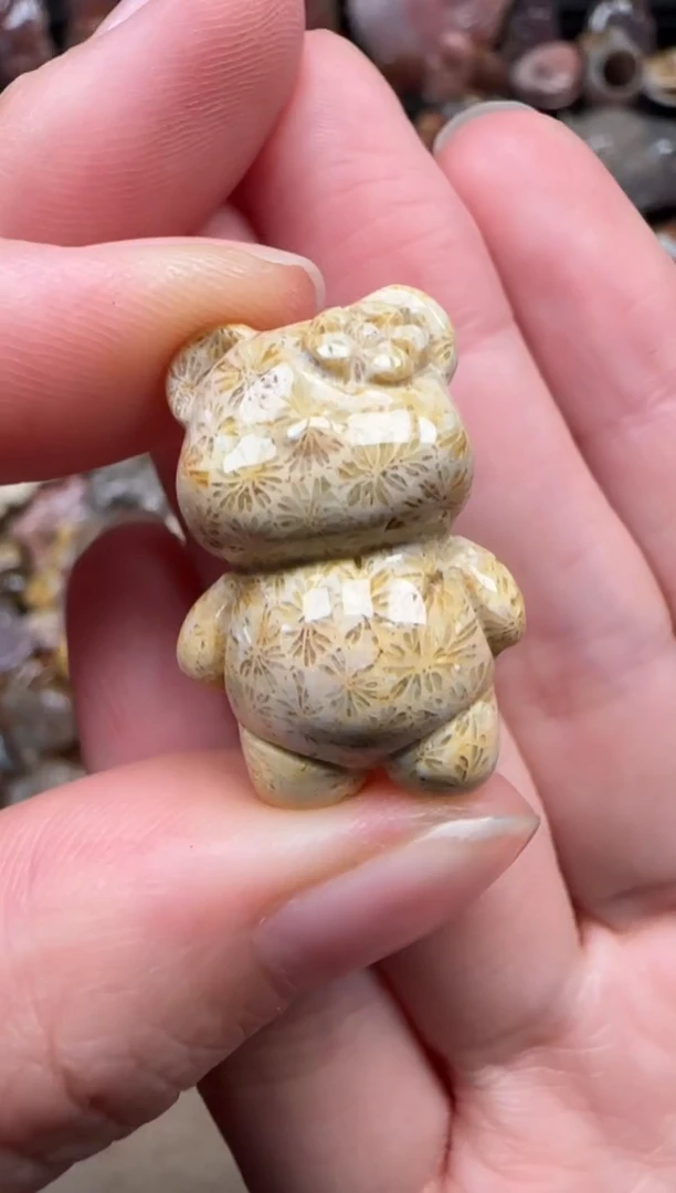 颈饰未镶嵌硅化珊瑚（珊瑚玉）343