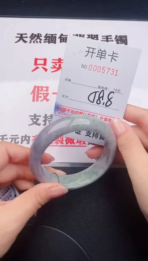 未镶嵌手镯翡翠31