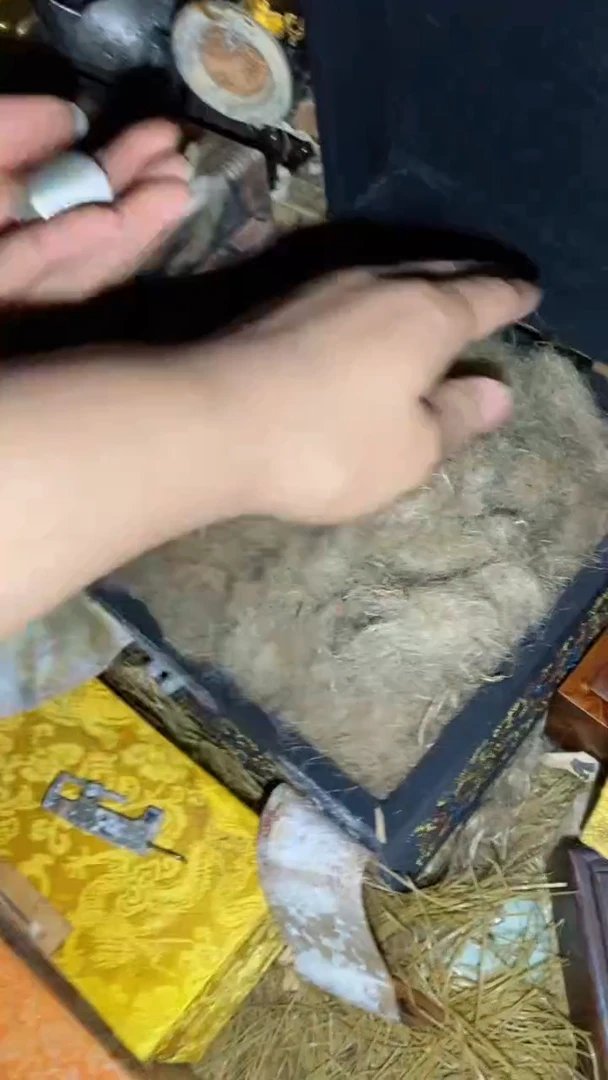 香榧木 一一一一一福利