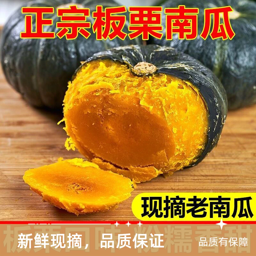 【京津冀次日达】正宗板栗贝贝南瓜 2±斤起 0低脂代餐甜粉软糯 现摘迷你贝贝南瓜宝宝辅食 顺丰包邮上门