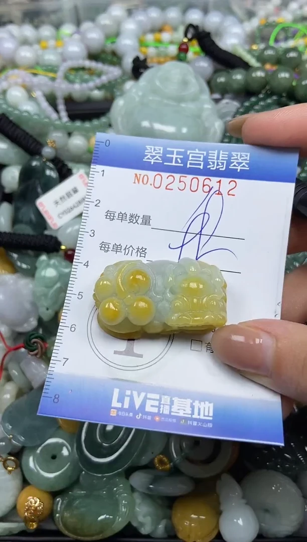 颈饰未镶嵌翡翠闪购C0250612