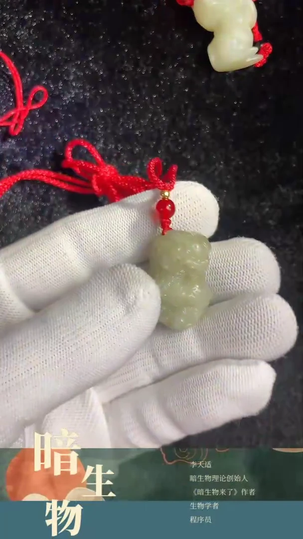 【闪购商品】和田玉吊坠(赠链)未镶嵌龙