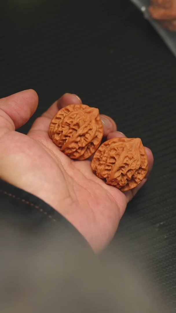 2025核桃季精品大龙34.5