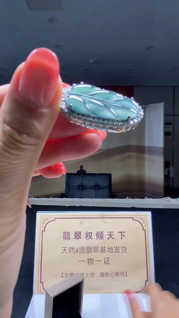 翡翠未镶嵌颈饰********22