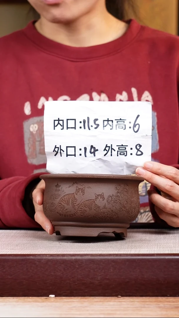 紫砂花盆紫泥刻绘猫咪迷你矮圆盆一只无托