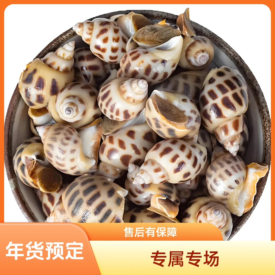 花螺【福泉海鲜预定】