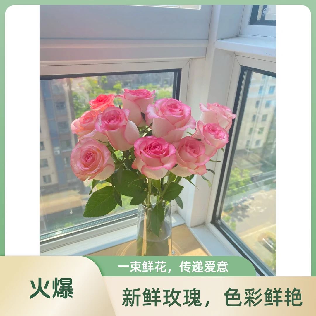 爱莎玫瑰 家庭插花 浙江金华发货今天下单 明日送达。