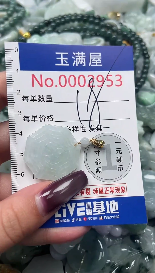 颈饰未镶嵌翡翠2953