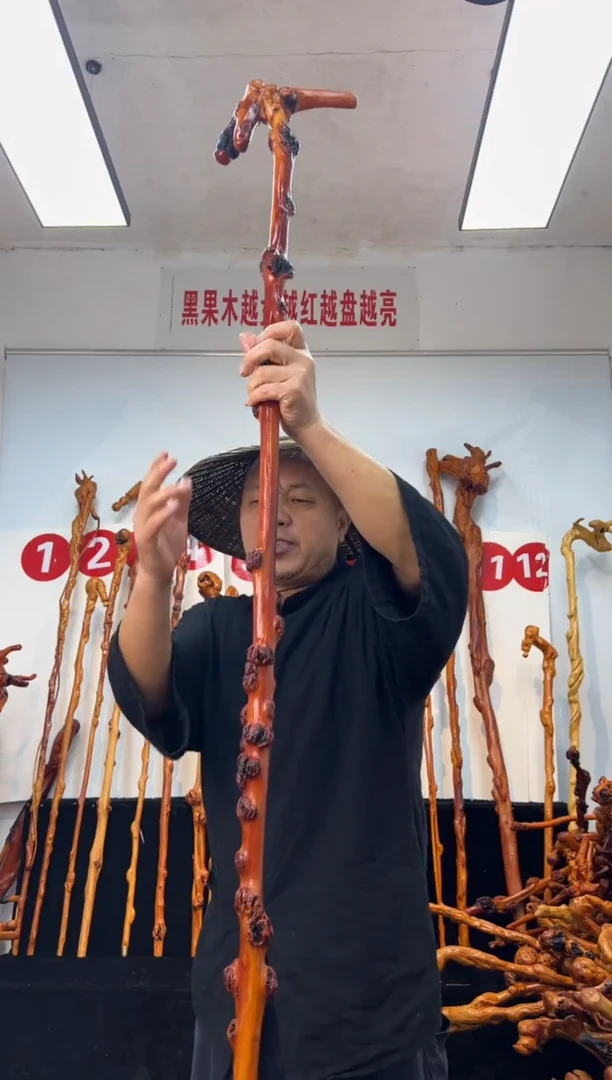 黑果木其他黑果木345