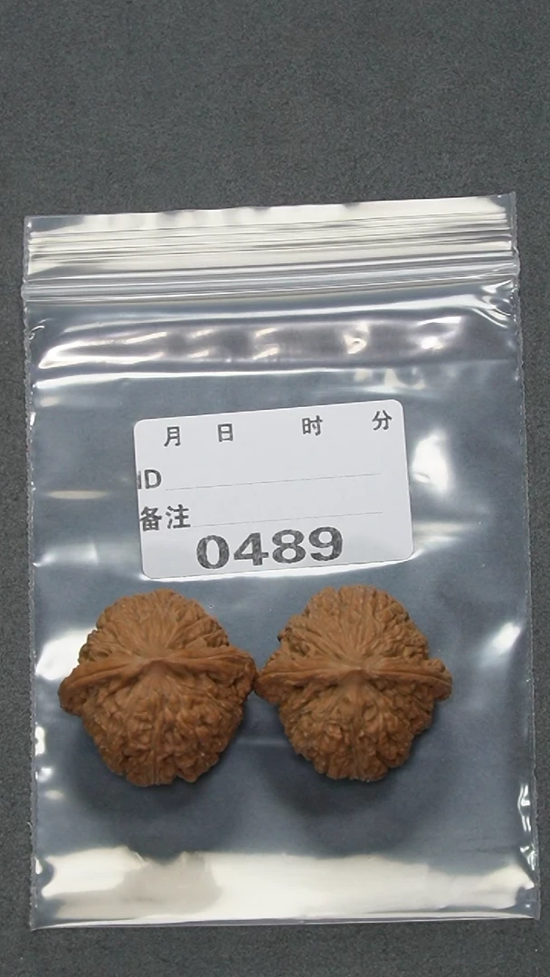 【闪购商品】文玩核桃把件35红宝石