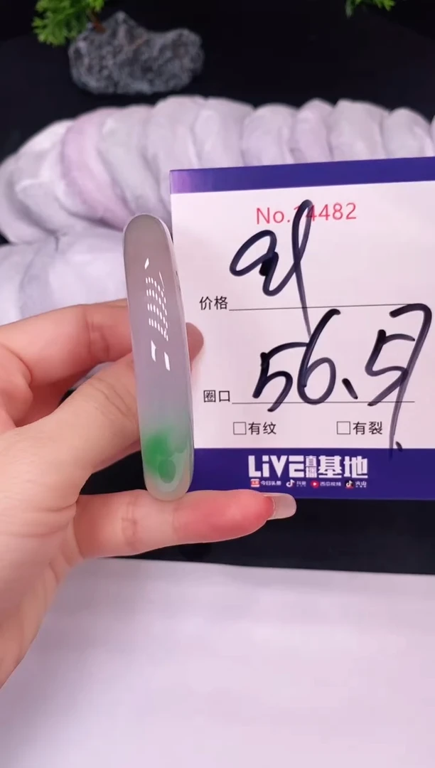 未镶嵌手镯翡翠14482