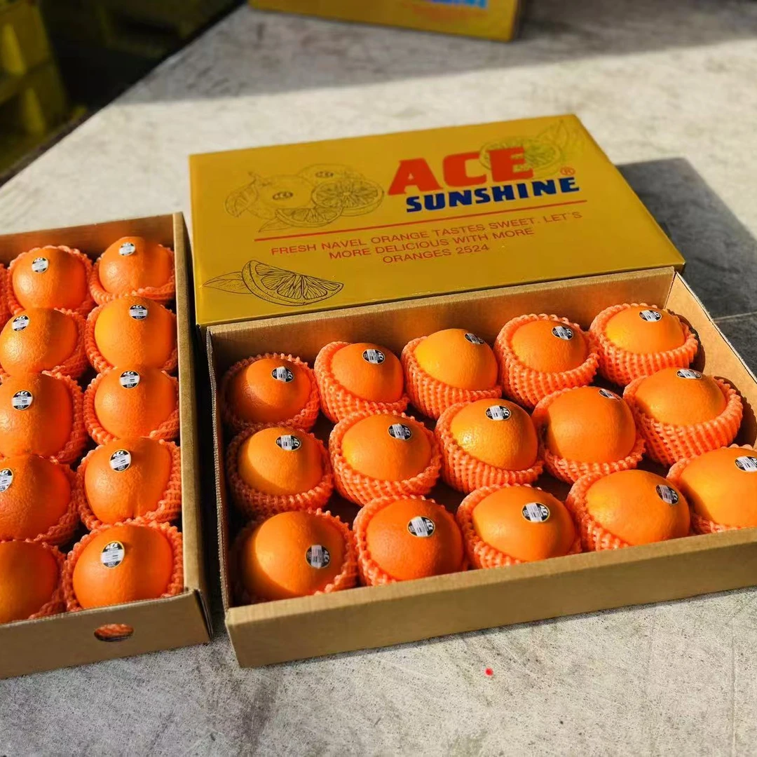 【新年礼盒】精品ACE澳橙 细嫩化渣，甜度佳 1箱15颗