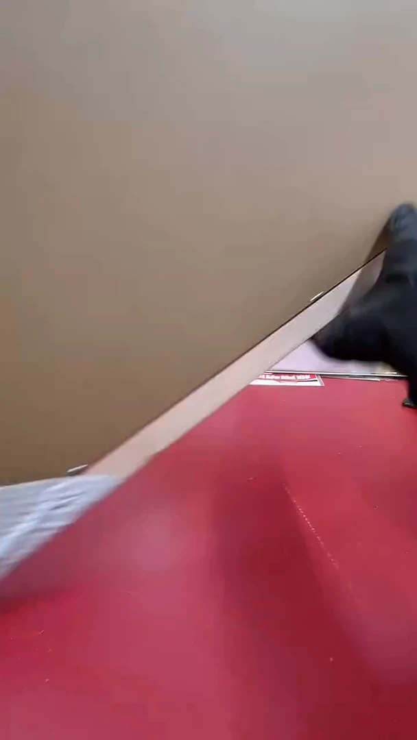 其他普通金属乘风破浪