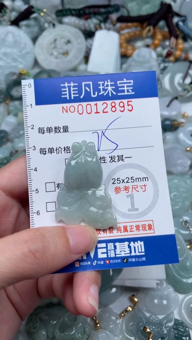 颈饰未镶嵌翡翠12895