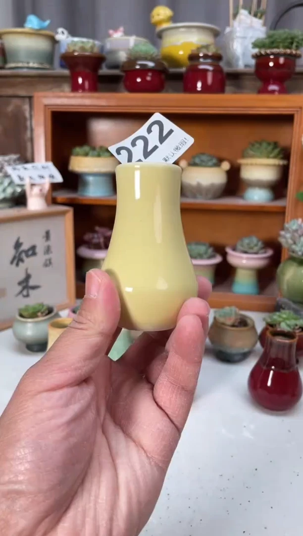 瓷片222小芳直播编号