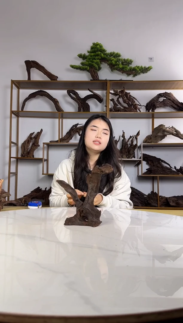 用****5拍沉木定向链接编号52