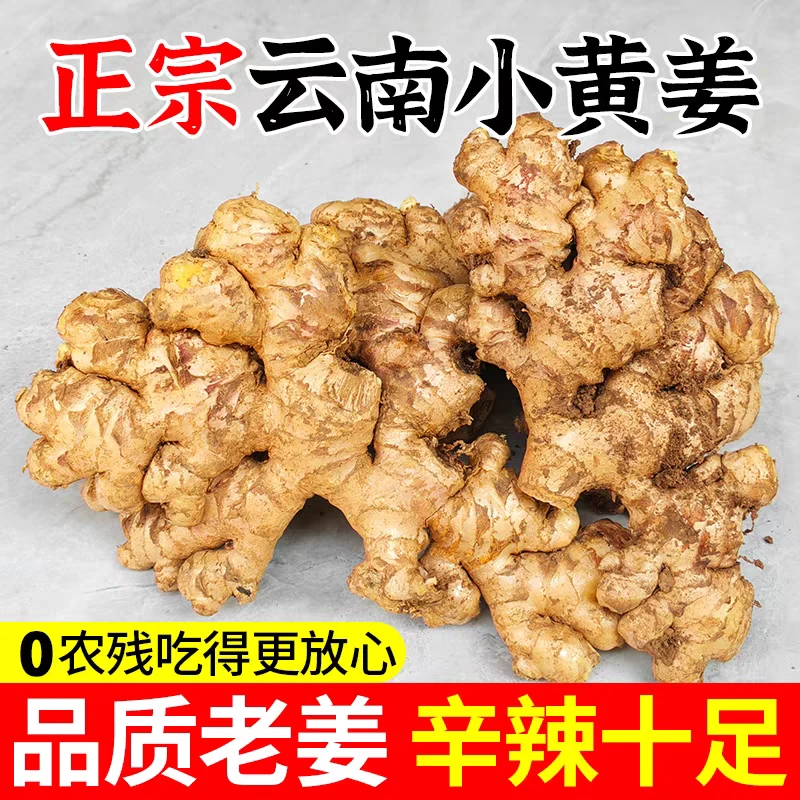云南小黄姜新鲜现挖老姜山地种植辛辣浓郁蔬菜