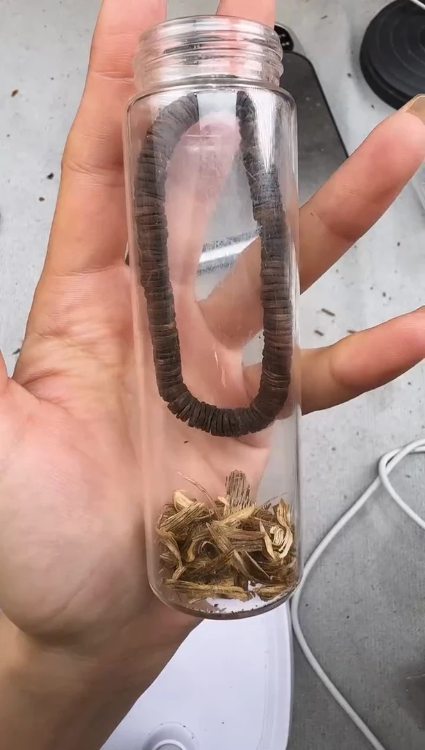 沉香沉香碎屑0604紫棋片静静沉香甄选多样性发一