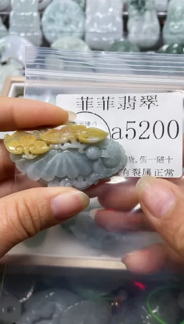 【闪购商品】翡翠颈饰未镶嵌闪购5200