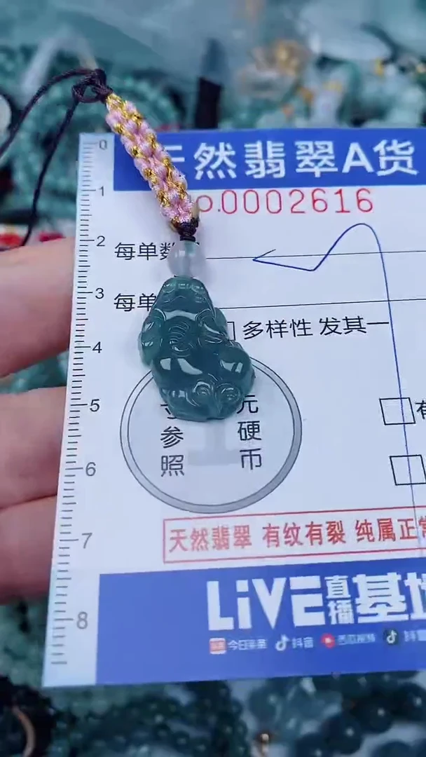 翡翠未镶嵌颈饰00002616