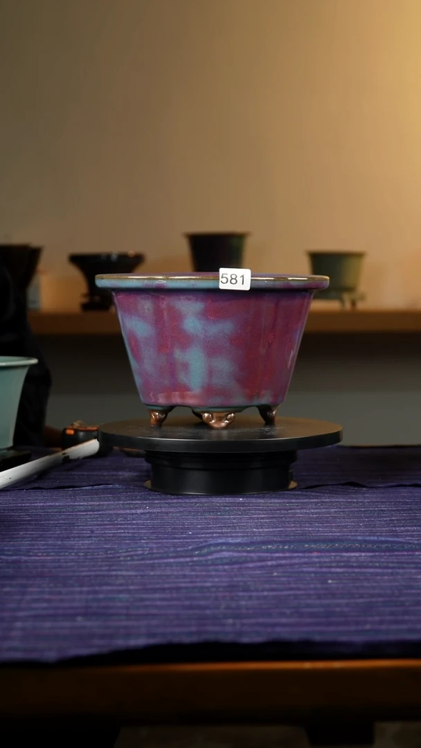 徐*啊581海棠紫花盆