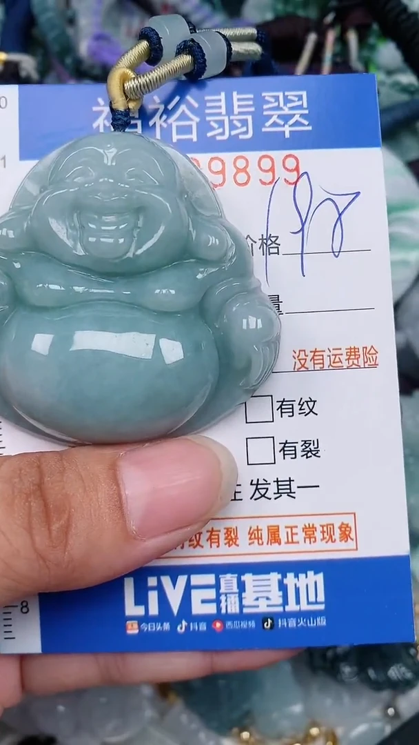 翡翠未镶嵌颈饰...0009899