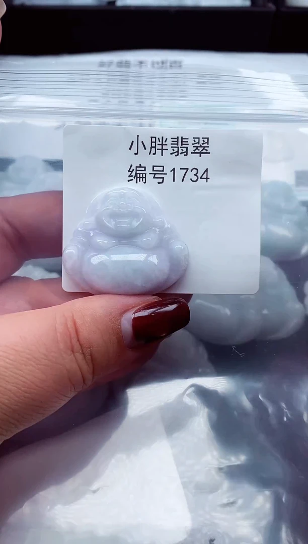 颈饰未镶嵌翡翠缅甸天然A货翡翠1734