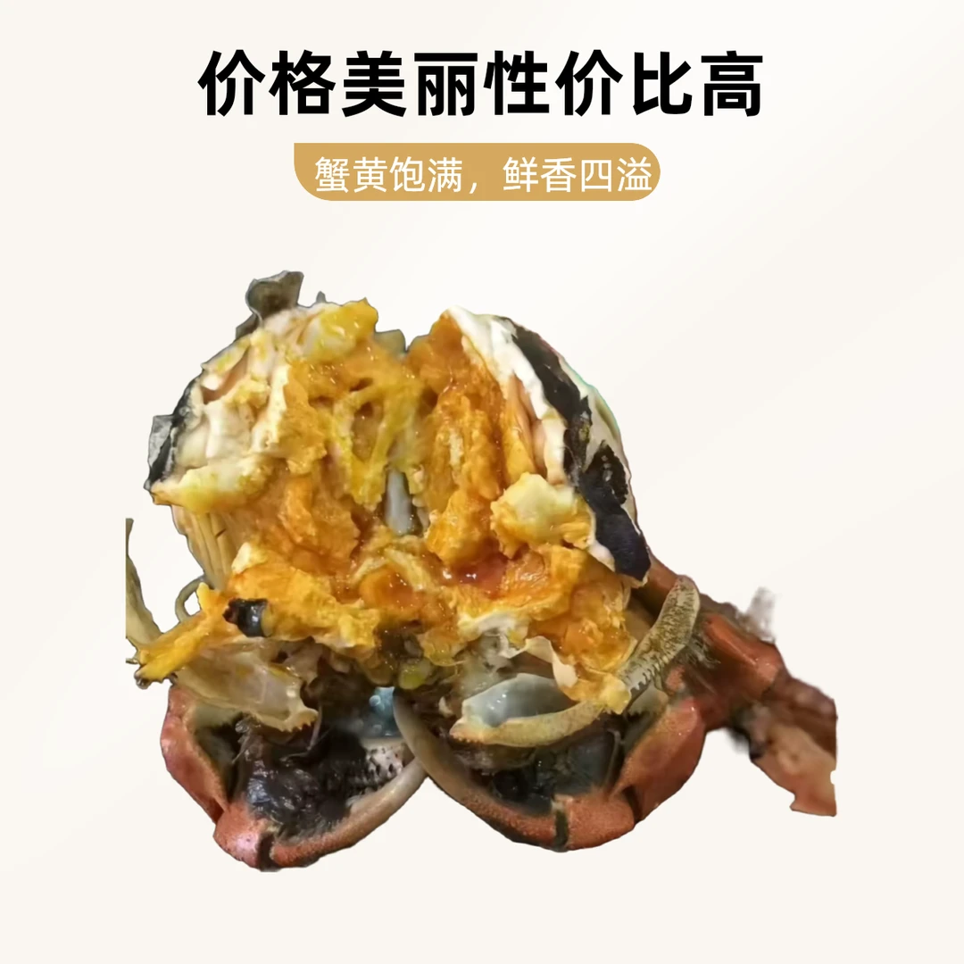【活蟹】盘锦河蟹稻田蟹全母0.8-1两/只20只送5只到手25只左右1000g