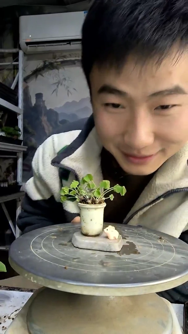 (****)中青园艺一物一拍400
