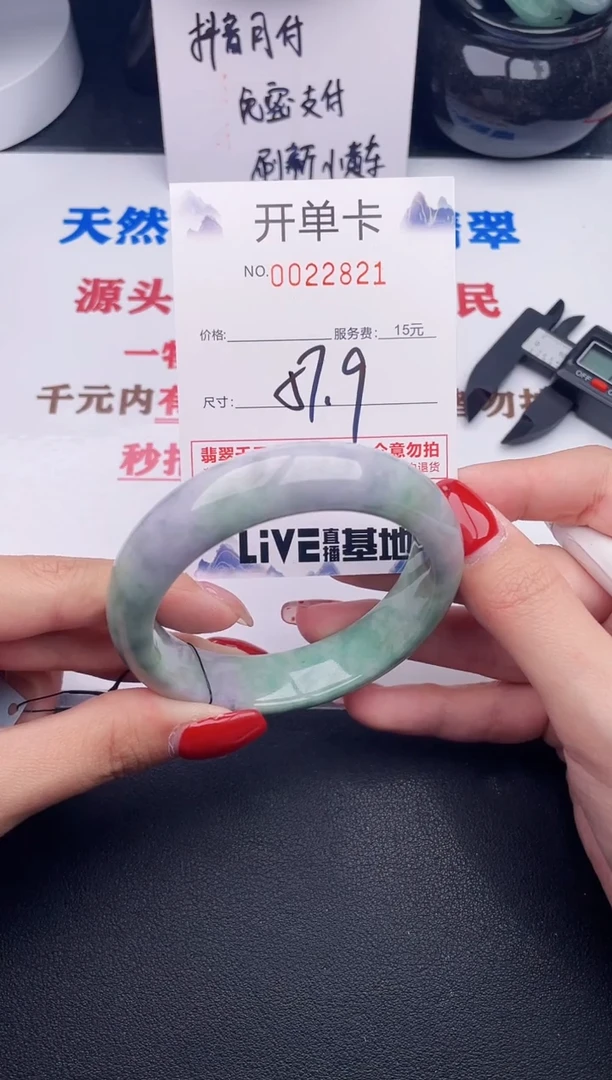 未镶嵌手镯翡翠21