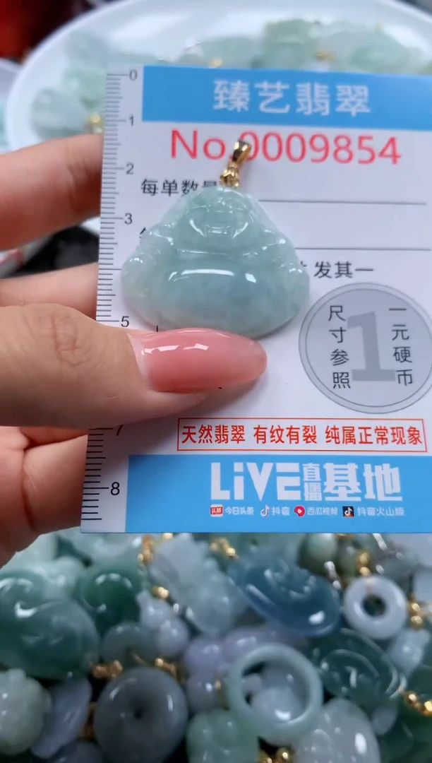 翡翠未镶嵌吊坠(不含链)9854