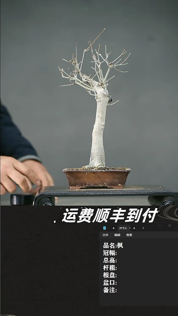 【闪购商品】110