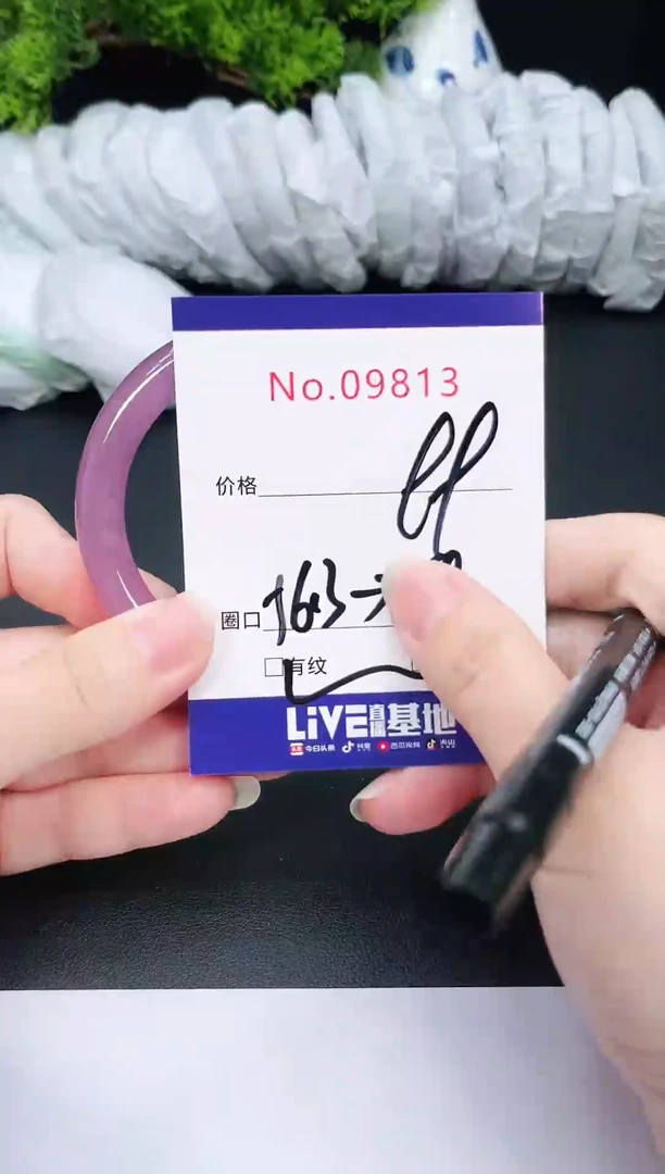 未镶嵌手镯翡翠9813