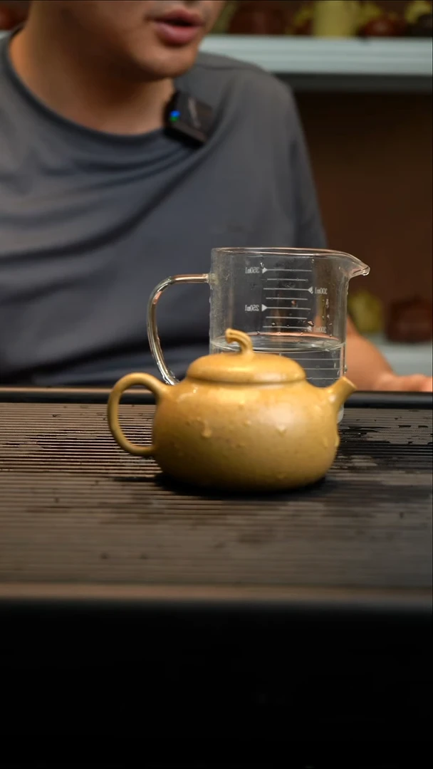 茶壶紫砂紫砂壶101