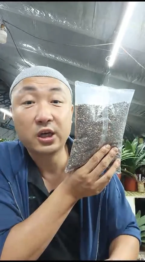 君子兰油性植料