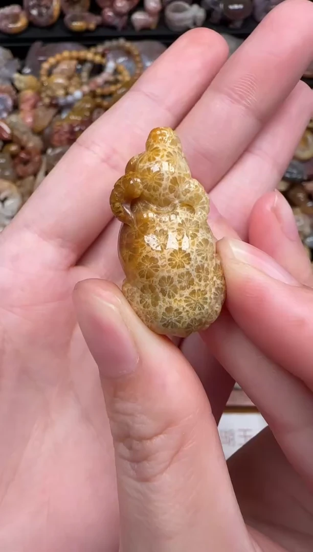 颈饰未镶嵌硅化珊瑚（珊瑚玉）189